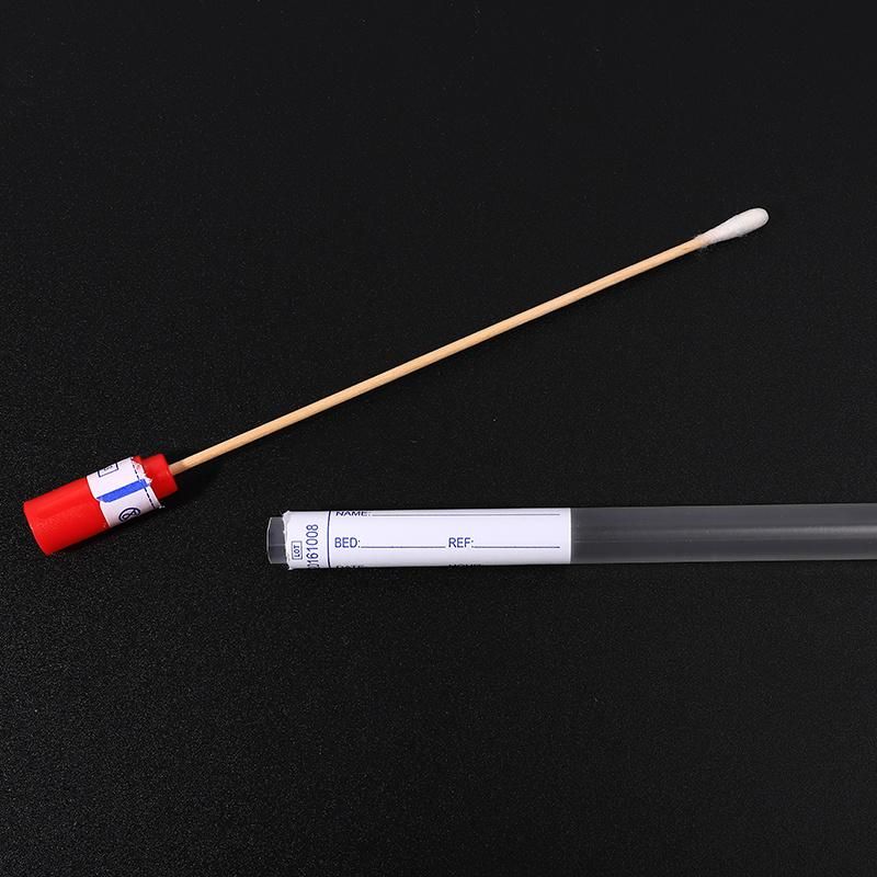 High Standard Plastic Medical Bamboo Cotton Sterile Transport Swab