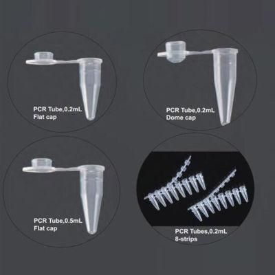 Biobase PCR Test Kit PCR Test Kit Rapid PCR Amplification Kits Test Kits PCR