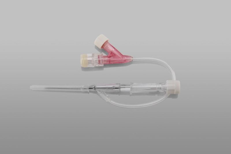CE/FDA Approved Disposable I. V. Cannula with Factory Price
