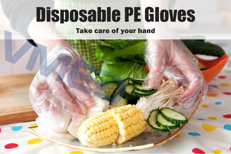 Transparent PE Plastic Waterproof Glove