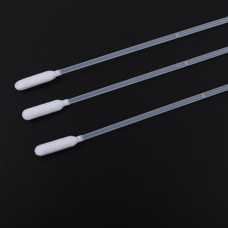High Standard Transparent Clean Foam Test Swab with Breakpoint