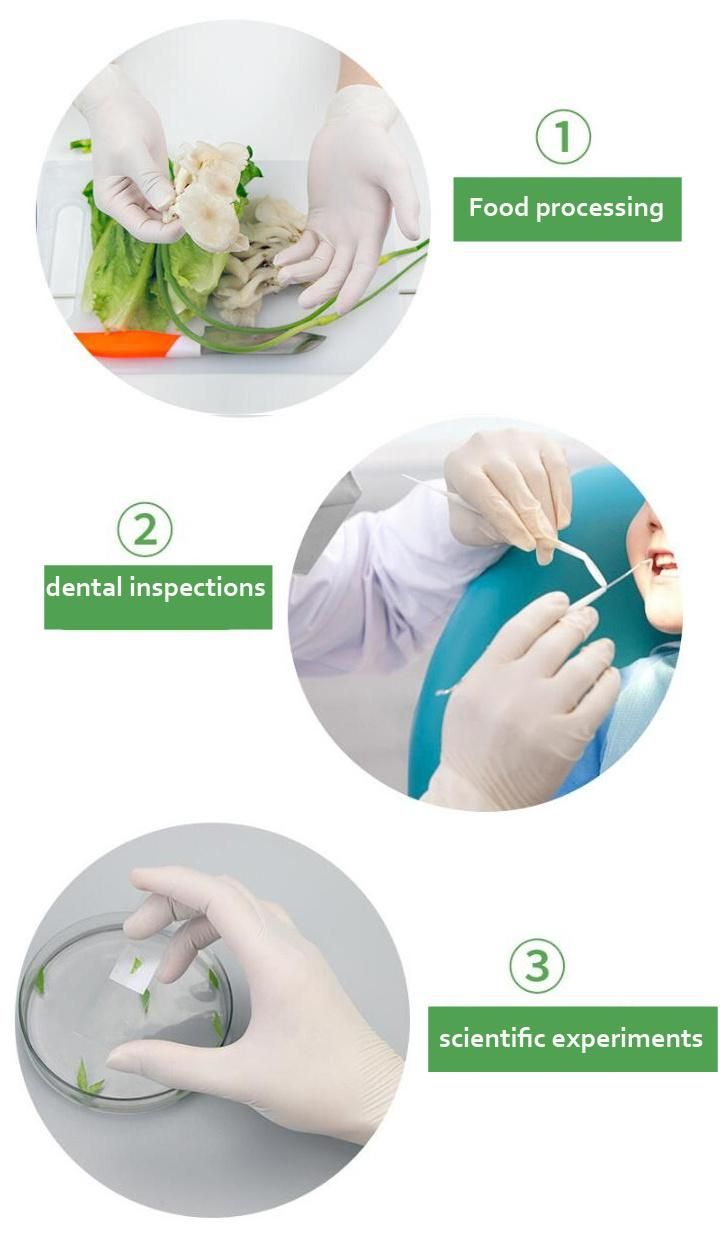 Nitrile Gloves for Surgeon Gloves Disposable Supplies 100% Latex Gloves Carton Medical Surgical Gloves Latex Sterilization Gloves