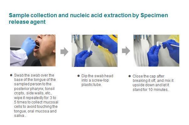 One Step Rapid Nucleic Acid Extraction and Release Agent for PCR Machine