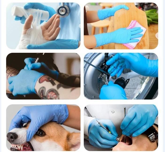 Hot Sale Disposable Sterile Medical Nitrile Gloves Without Powder