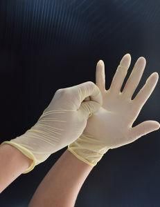 Disposable Surgical Gloves Powder Latex