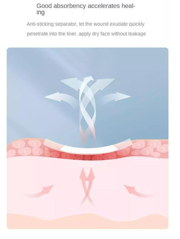 Medical Wound Dressing for Wound Healing Highly Absorbent Dressing Sterile Individual Wrapped for Wound Care