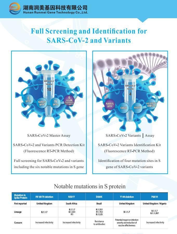 2019 New Virus Rapid Neutralizing Antibody Testing Kit