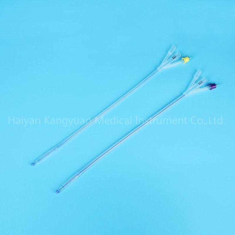 Foley Catheter Silicone Standard 3 Way Length Normal Balloon Manufacturer