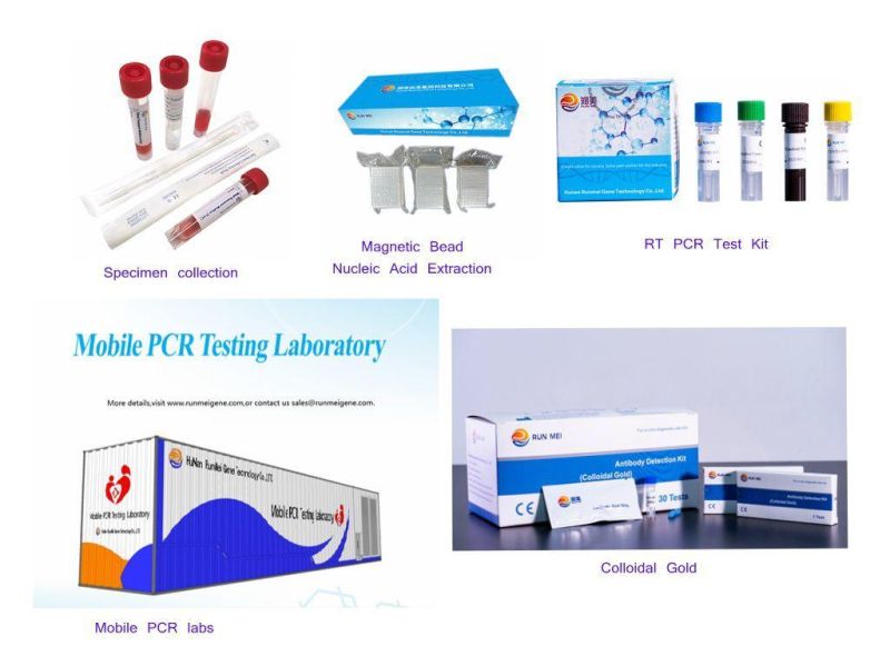 Full Screening and Identification for Sas Cvs and Variants Real Time Rt PCR Test