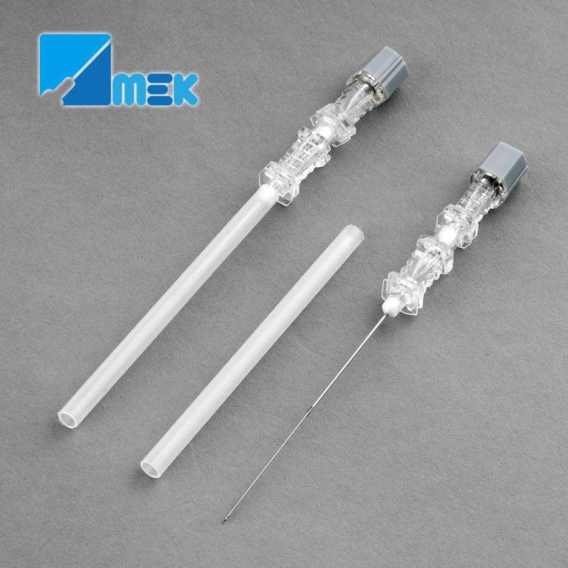 Pencil Point Spinal Needle with Introducer 25g90mm