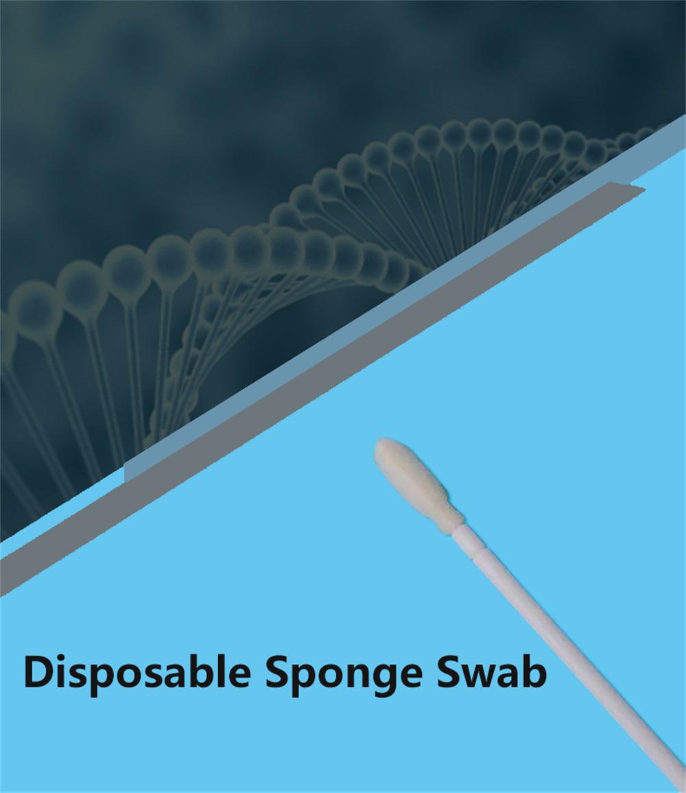 Sterile Buccal Sponge Swab Sample Collection Transport Tube Oral Flocked Swab Flocked Swabs