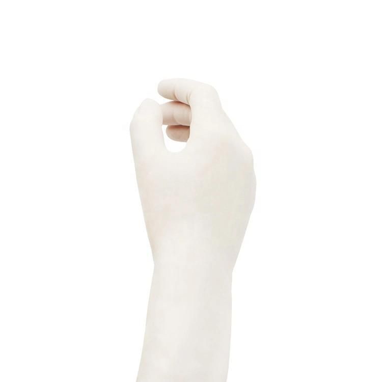 Surgical Latex Gloves Powder Free with CE ISO