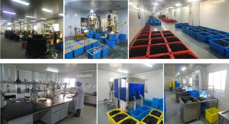 Medical Rubber Bulb/Ball/Tube/Flashball/Connector for Injection Set with ISO13485
