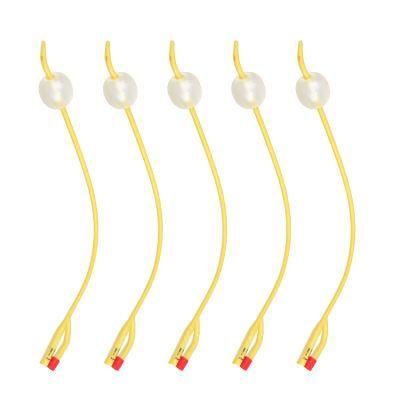 Hospital 12fr-24fr Disposable Medical 2-Way Tiemann Foley Catheter