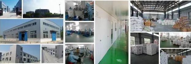 Nonwoven Bed Sheet in Roll 20~40 GSM White Bed Sheet