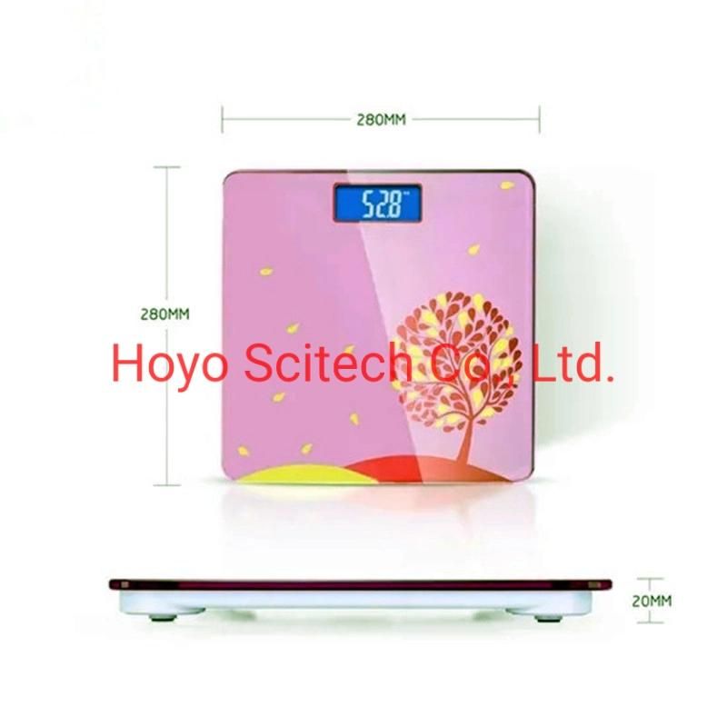 Electronic Portable Weight Scale Electronic Digital Weight Scale