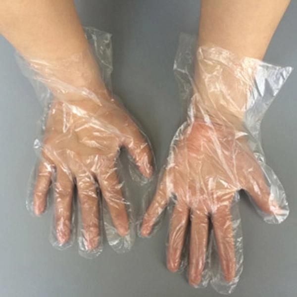 Disposable Poly PE Gloves Food Grade FDA Approved