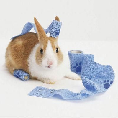 Supreme Quality Veterinary Pet Cohesive Bandage in Discount