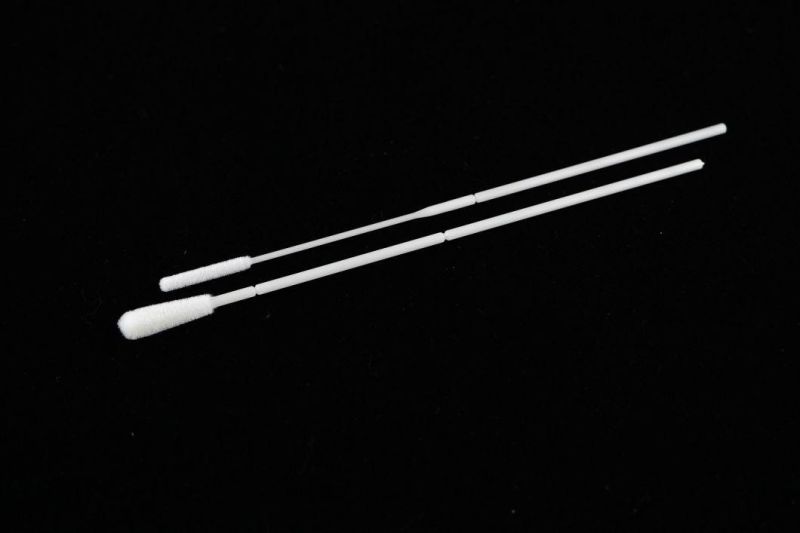 Nasal and Thorat Swab Collection Sampler