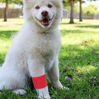 High Quality Vet Wrap Non-Woven Veterinary Elastic Horse Cohesive Bandage