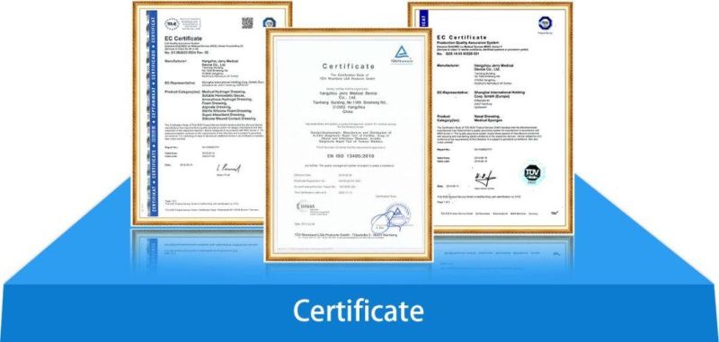 ISO CE High Quality Different Types Sizes Solid and Liquid Silicone Specialist Laryngeal Mask