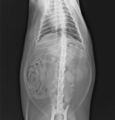 Medical Blue and White Laser X-ray Film