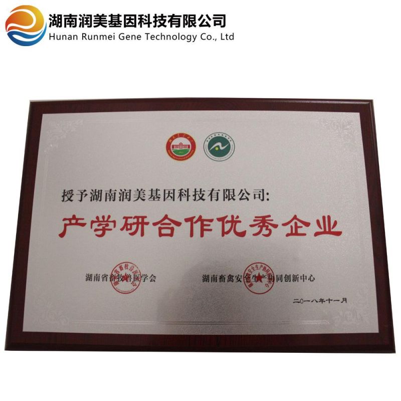 Oxygen Cannula Conventional Plum Blossom Tube Oxygen Tube