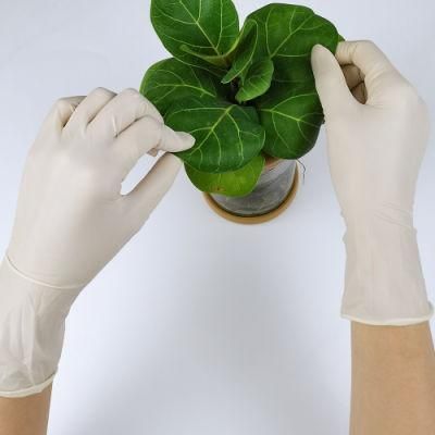Vinyl Latex Gloves for Tattoo