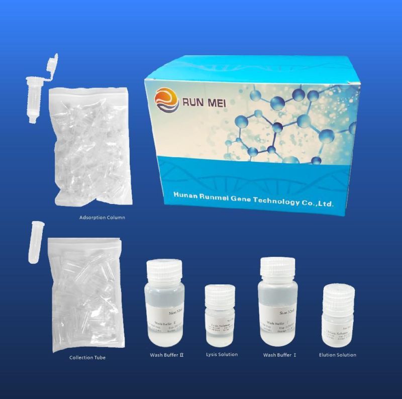 Hot Sale Nucleic Acid Extraction Kit and Purification Kit