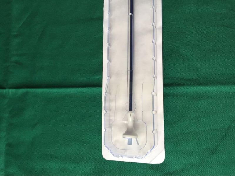 Ureter Smooth Medical Ureteral Access Sheath