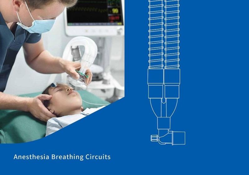 Hot Sale Single Limb Breathing Circuit Breathing for Ventilators