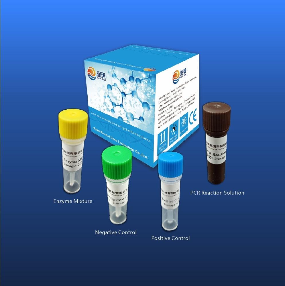 Full Screening and Identification for Sas Cvs and Variants Real Time Rt PCR Test