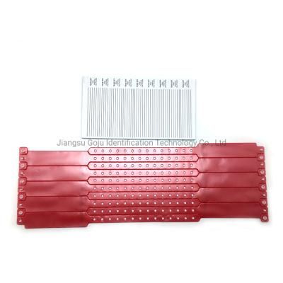 Hospital Adult Insert Card PVC ID Band for Patient