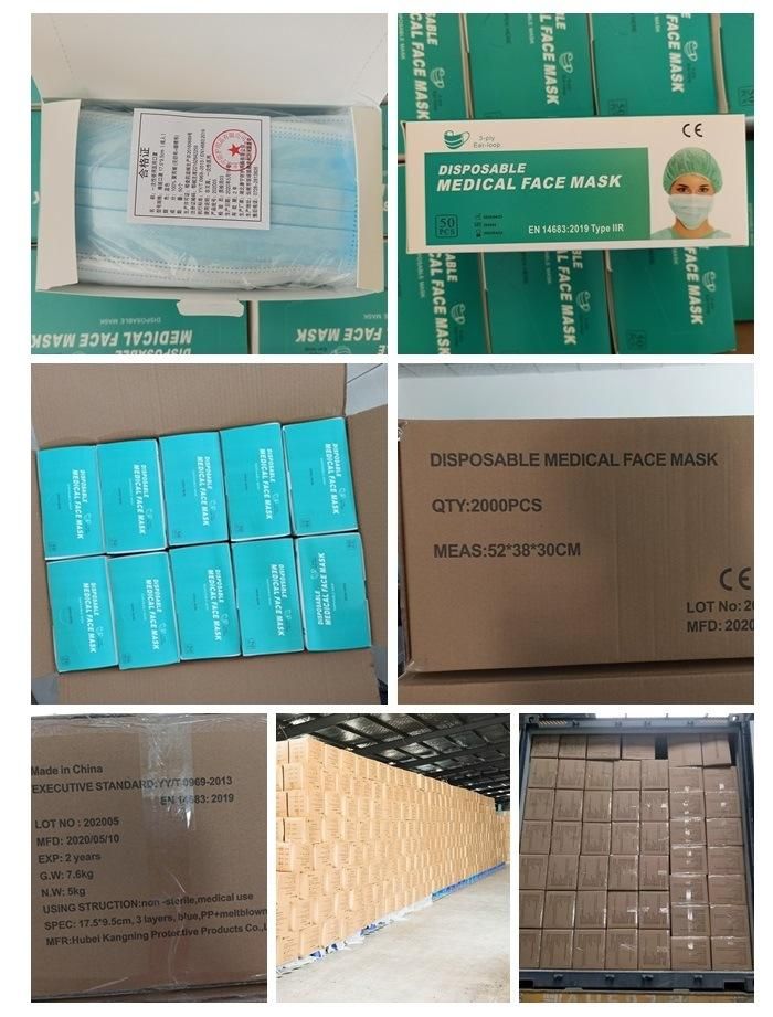Wholesale Medical Mask Factory Supplier CE Certification Disposable 3 Ply Earloop Black Facemask Surgical Mask Custom Mask