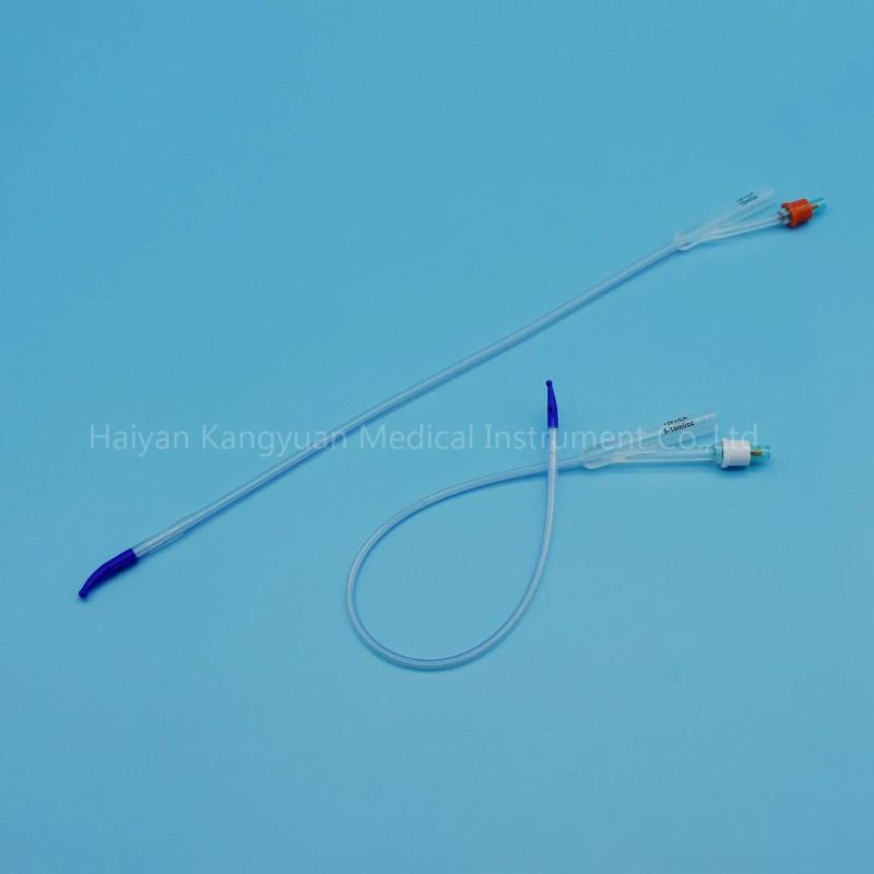 Tiemann Coude Tip Two Way All Silicone Urinary Urethral Catheter Normal Balloon Factory