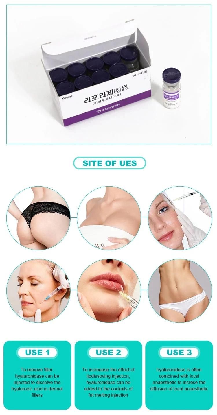 Korean Original Brand Liporase Hyaluronic Acid Dermal Filler Dissolves