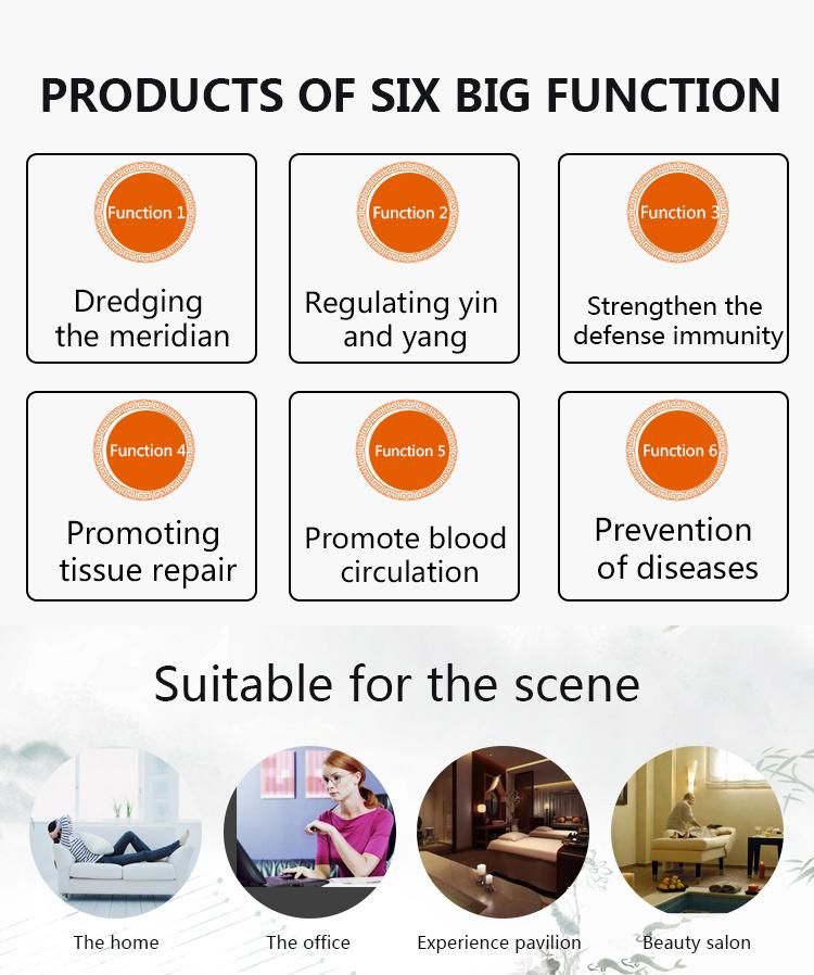 Chinese Medical Disposable Sterile Ear Press Needle for Acupuncture Meridian Points