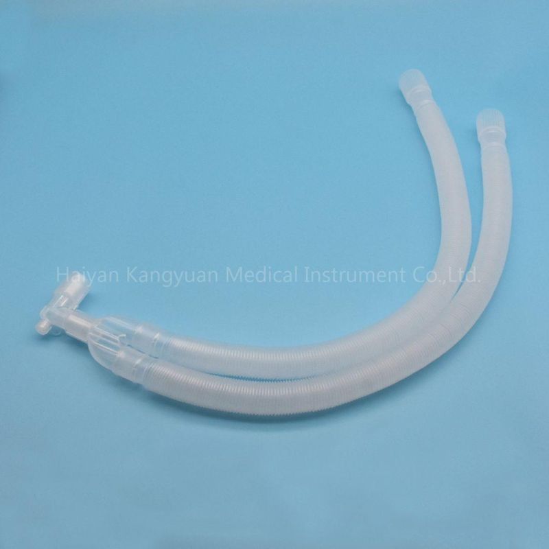Anesthesia Breathing Circuits Chosen Configuration Includes Respiratory Filter, Breathing Bag Subassembly, a Face Mask