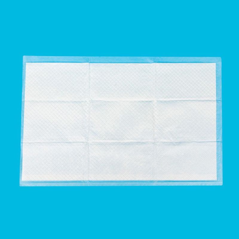 Wholesale Cheap Dog and Puppy Pet Under Pad Manufacture Cat PEE Puppy Pads Bamboo Charcoal Dog Pads Training Mat Holder for Pet PEE Pads for Dogs