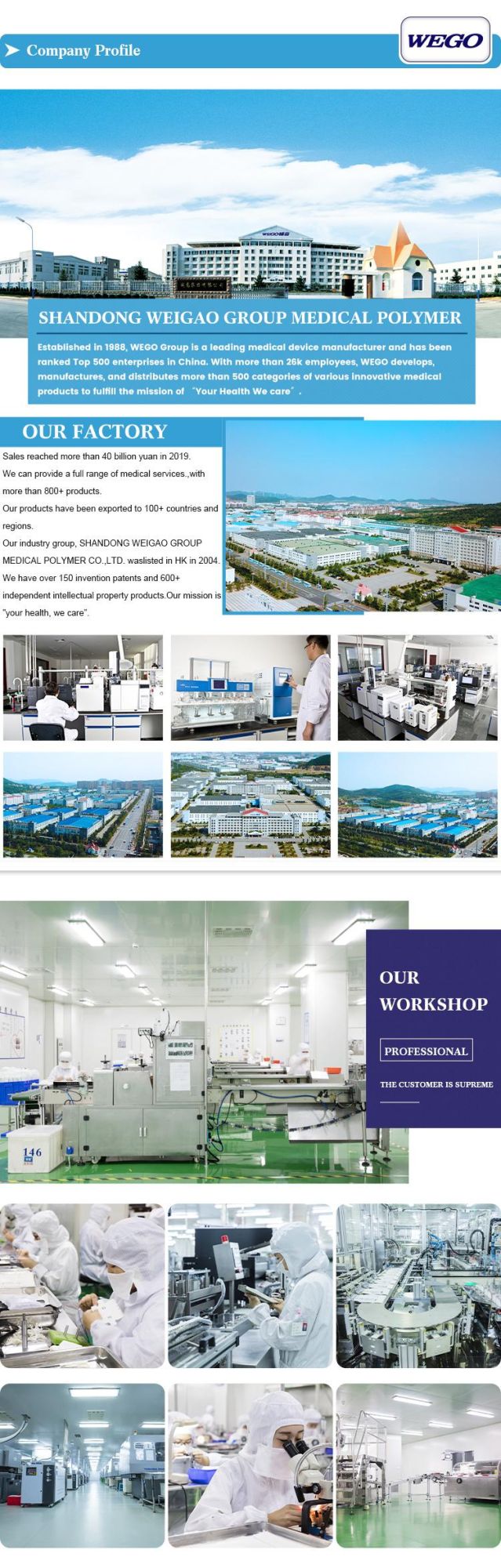 Wego Medical Consumables Sterilization Oxygen Face Mask with CE ISO