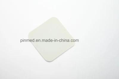 Wound Dressing with Silver Ions