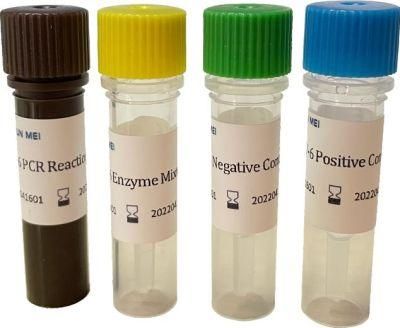 Pre-Packed Kit for Detection of Triple Nucleic Acid for Pertussis, Parapertussis,