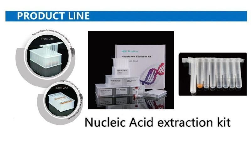 Techstar Sc902-50 Magnetic Beads Nucleic Acid PCR Extraction Kit CE