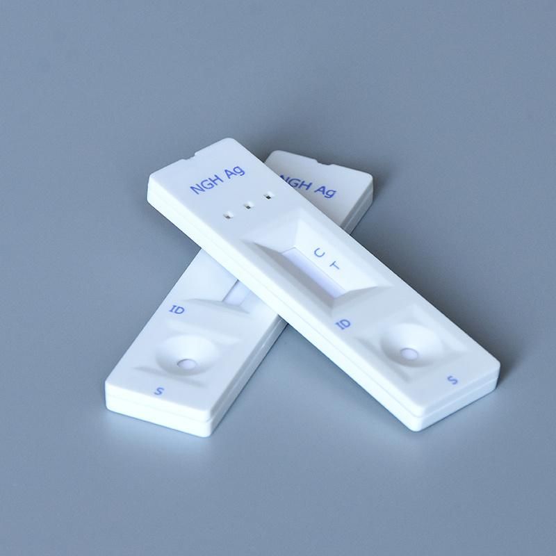 High Accuracy Home Easy Use Ngh Ngh Test CE AMP