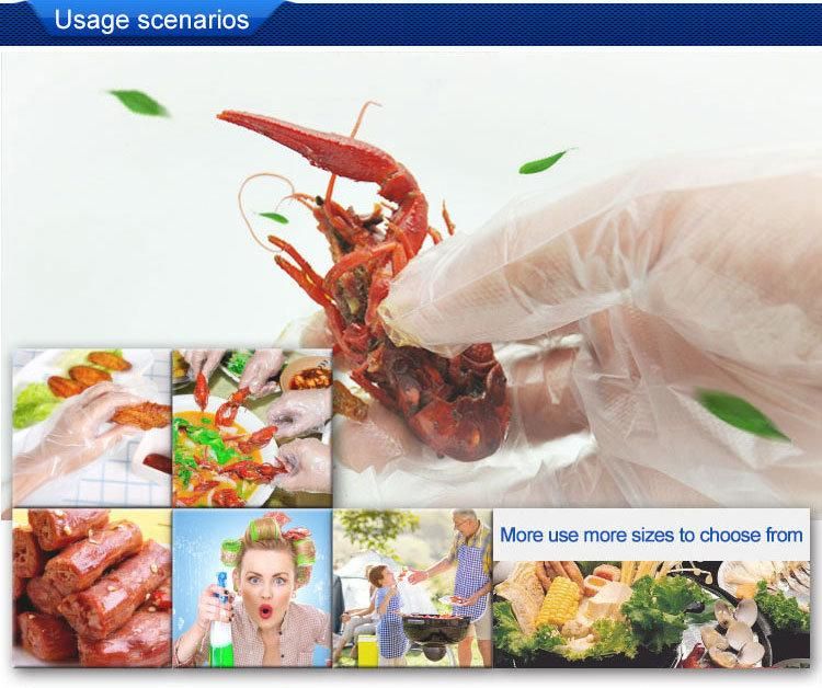 Disposable PE/TPE/HDPE/LDPE Glove Food Grade Kitchen Household Cleaning Gloves