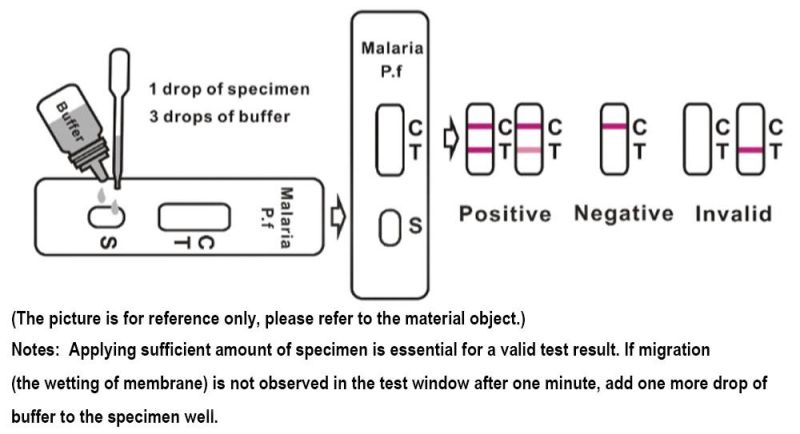 Clungene One Step Malaria P. F/ P. V Antigen Test