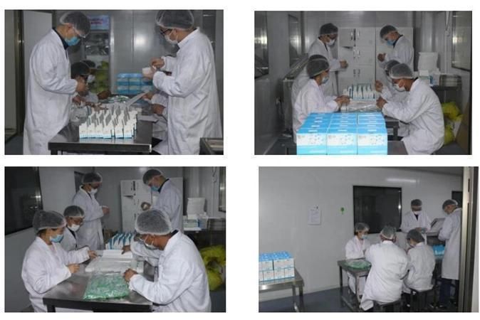 Hot Sale Nucleic Acid Extraction Kit and Purification Kit