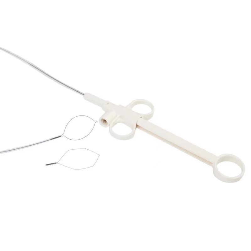 Endoscopy Accessories Polypectomy Snare for Removing The Polyp