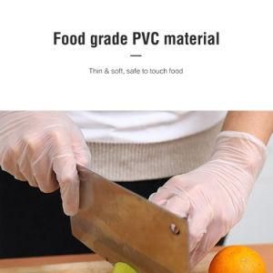Clear Transparent Protective Powder Free Examination Disposable PVC Gloves