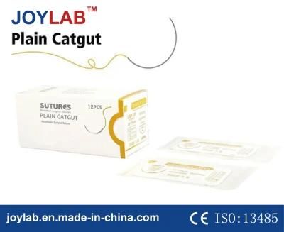 Absorbable Surgical Suture Plain Catgut